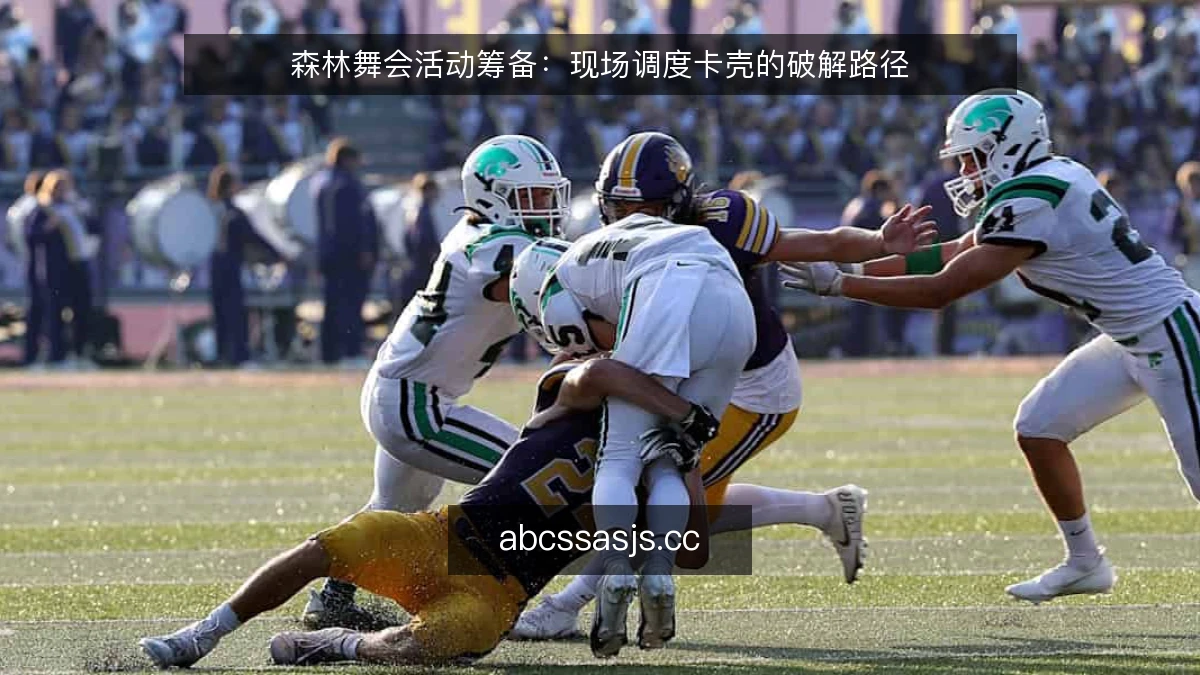 森林舞会活动筹备：现场调度卡壳的破解路径
