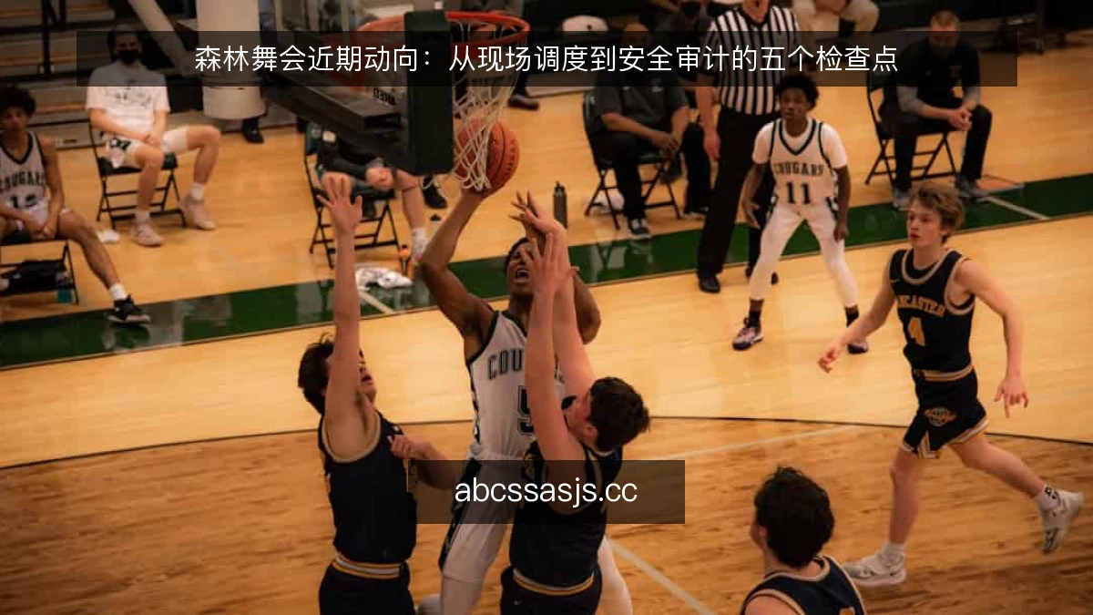 森林舞会近期动向：从现场调度到安全审计的五个检查点