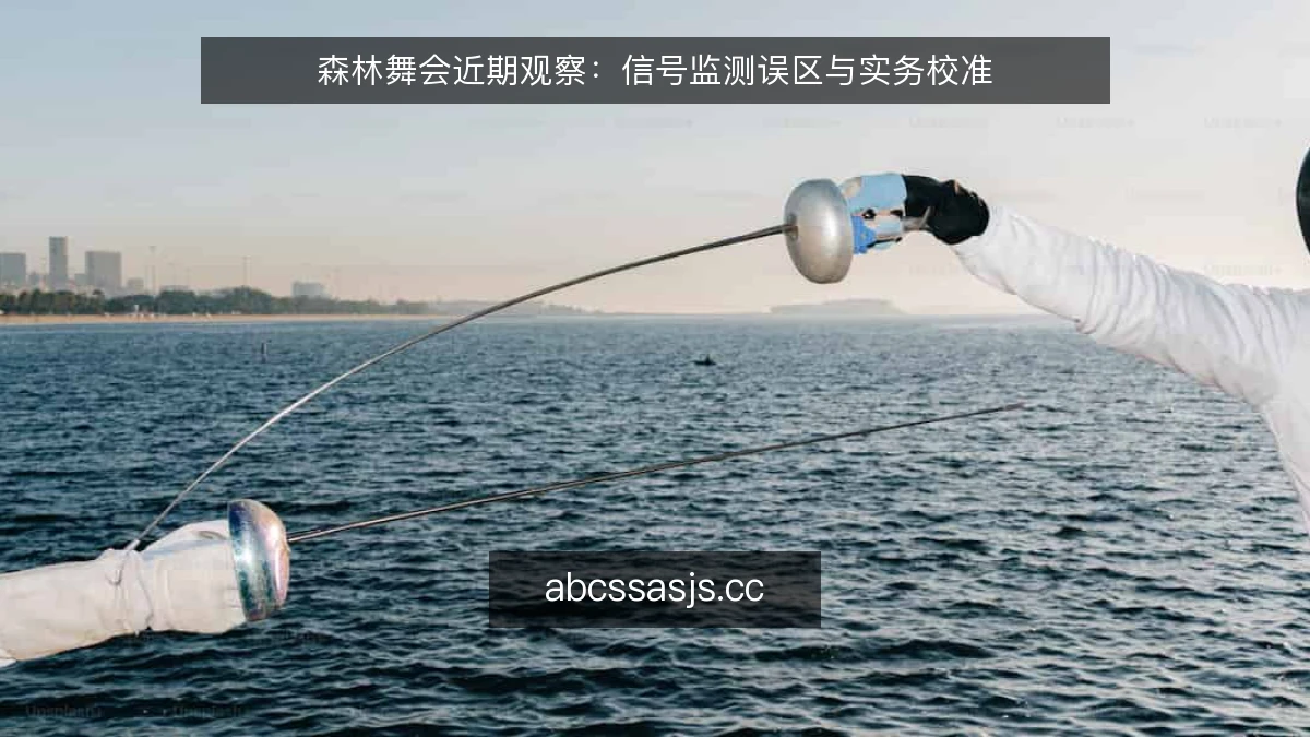 森林舞会近期观察：信号监测误区与实务校准