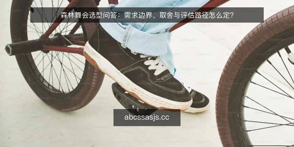 森林舞会选型问答:需求边界、取舍与评估路径怎么定? — 森林舞会方案的需求边界怎么定义? 配图