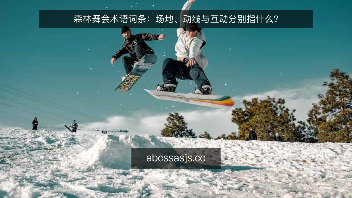 森林舞会术语词条:场地、动线与互动分别指什么?