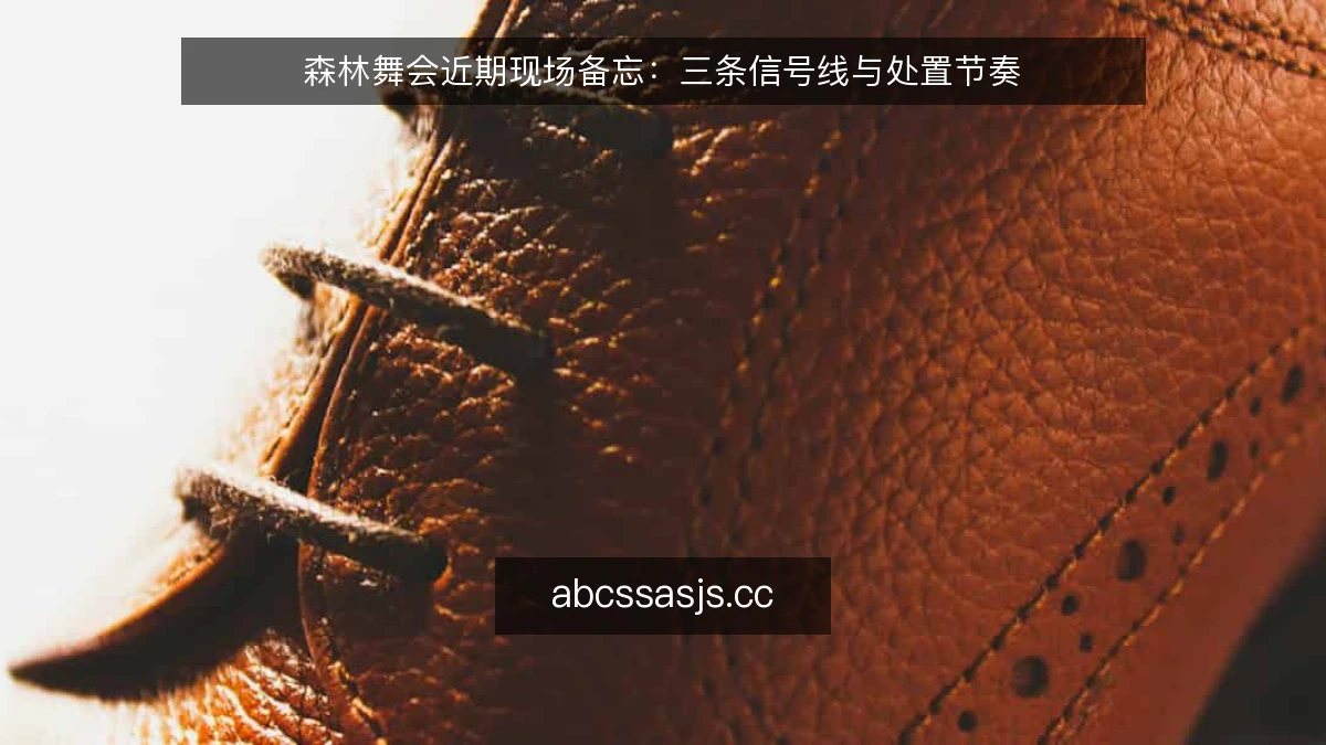 森林舞会近期现场备忘:三条信号线与处置节奏